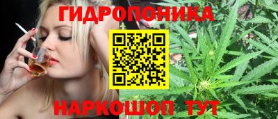 ALPHA-PVP Канаш