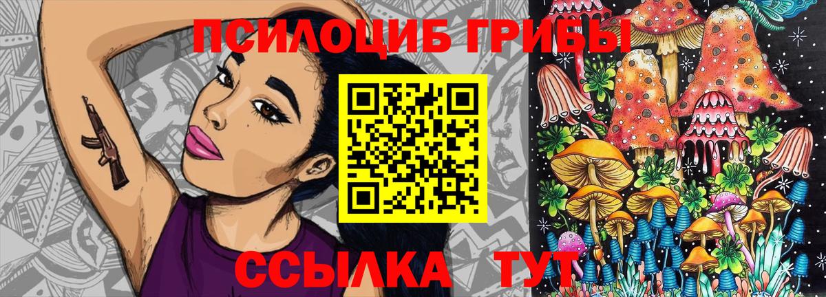 Галлюциногенные грибы Cubensis  Вход с VPN  Кызыл  Псилоцибиновые грибы GOLDEN TEACHER 