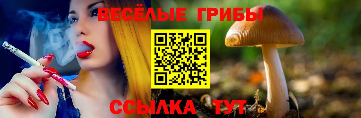 Галлюциногенные грибы Psilocybine cubensis Кызыл